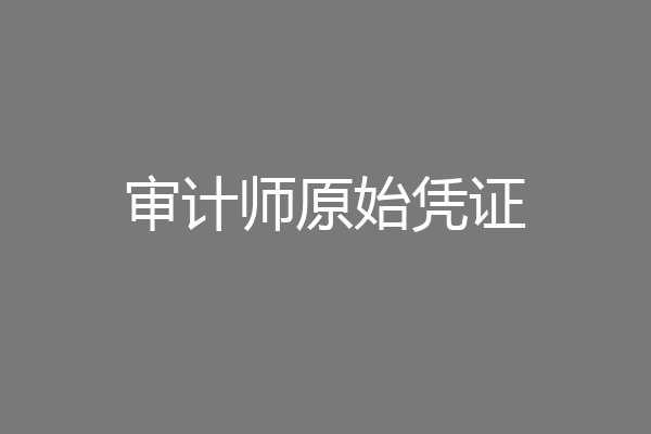 审计师原始凭证