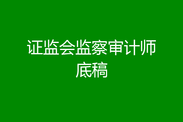 证监会监察审计师底稿