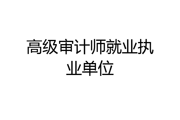高级审计师就业执业单位