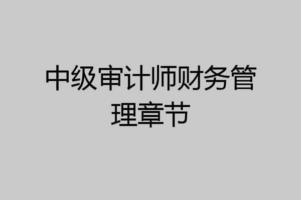 中级审计师财务管理章节