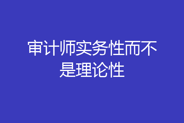 审计师实务性而不是理论性