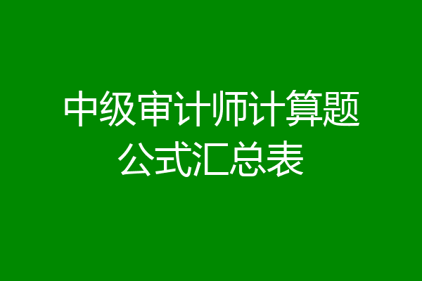 中级审计师计算题公式汇总表