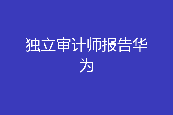独立审计师报告华为