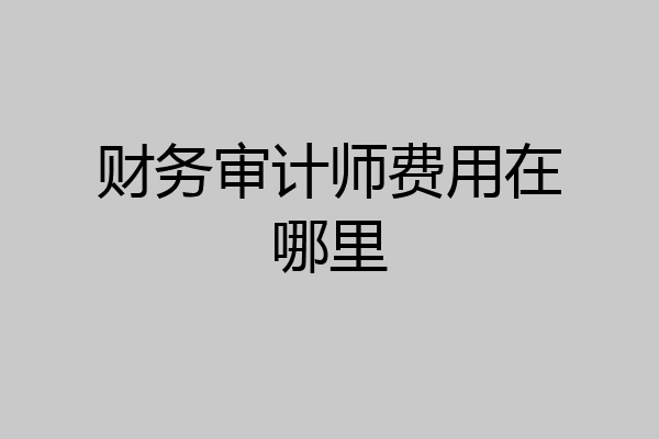 财务审计师费用在哪里