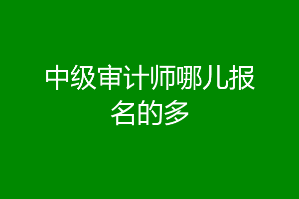 中级审计师哪儿报名的多