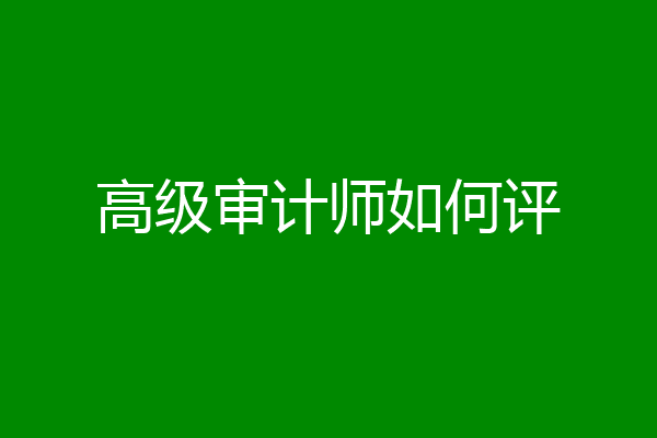 高级审计师如何评