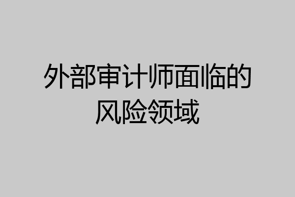 外部审计师面临的风险领域