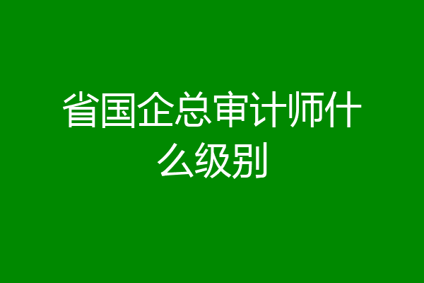 省国企总审计师什么级别
