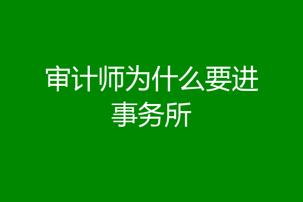 审计师为什么要进事务所
