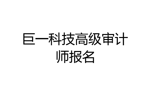 巨一科技高级审计师报名