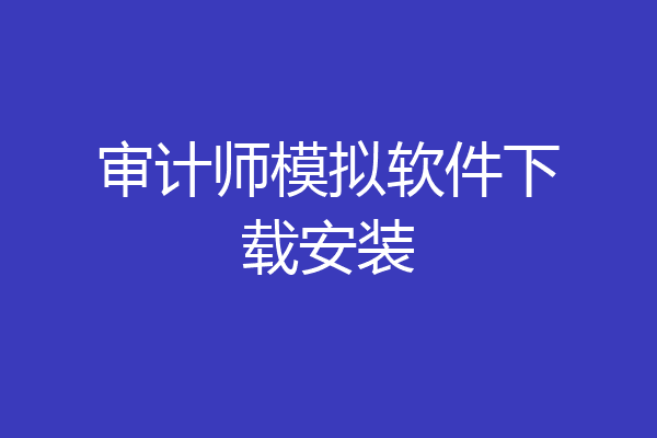 审计师模拟软件下载安装