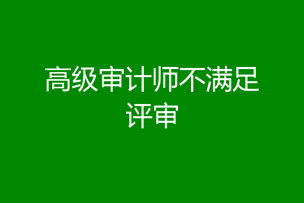 高级审计师不满足评审