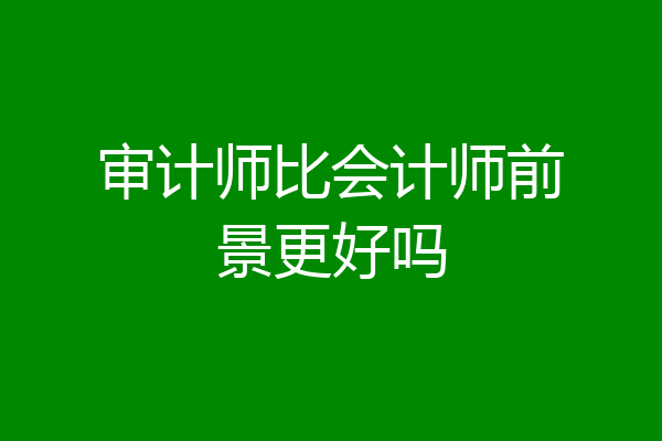 审计师比会计师前景更好吗