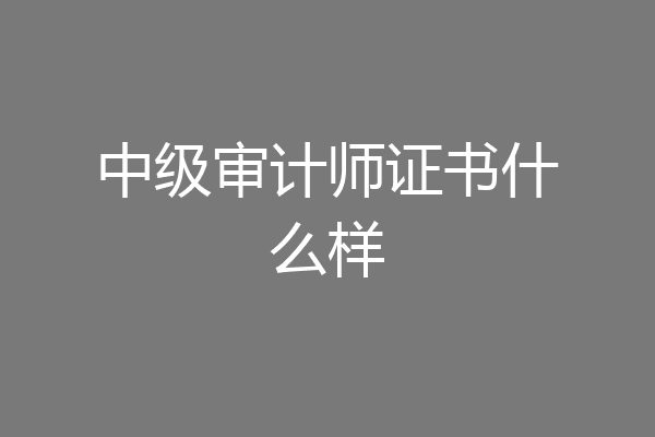 中级审计师证书什么样