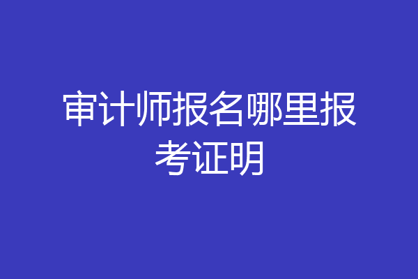 审计师报名哪里报考证明