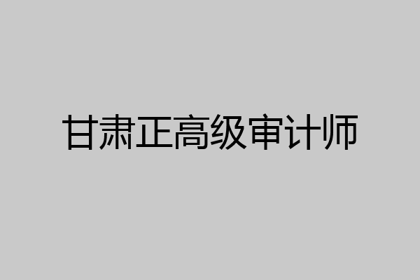 甘肃正高级审计师