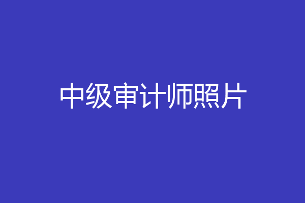 中级审计师照片