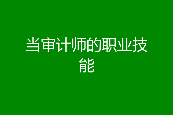 当审计师的职业技能