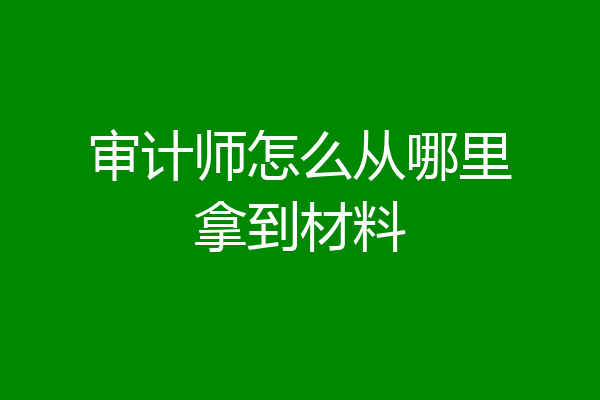 审计师怎么从哪里拿到材料