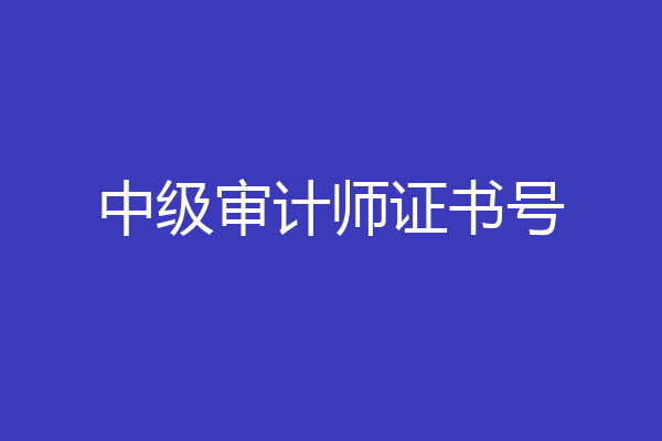 中级审计师证书号