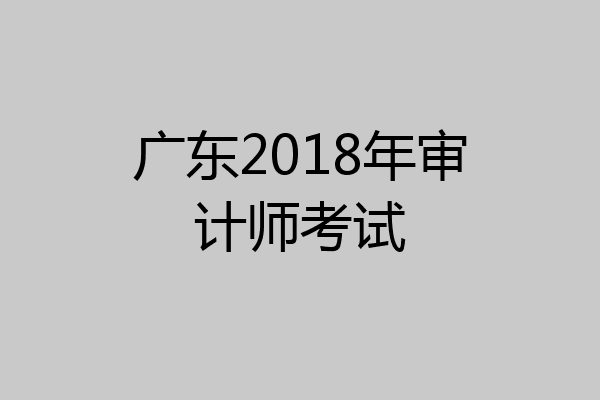 广东2018年审计师考试