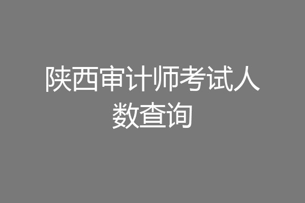 陕西审计师考试人数查询