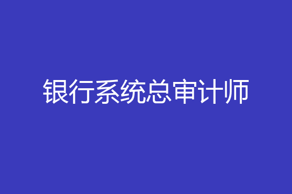 银行系统总审计师