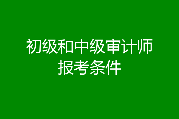 初级和中级审计师报考条件