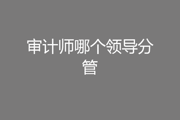 审计师哪个领导分管
