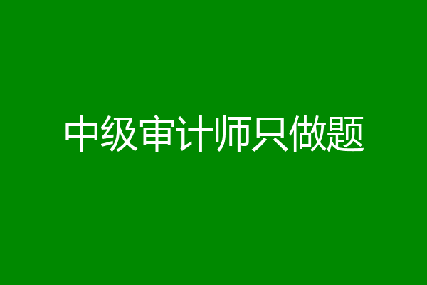 中级审计师只做题