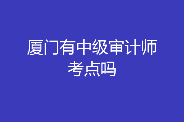 厦门有中级审计师考点吗
