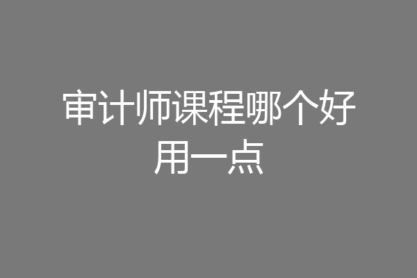 审计师课程哪个好用一点