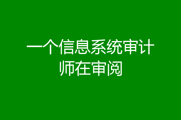一个信息系统审计师在审阅