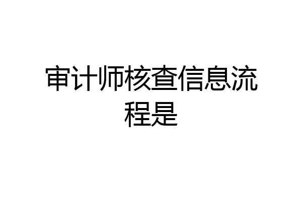 审计师核查信息流程是