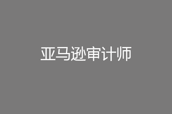 亚马逊审计师
