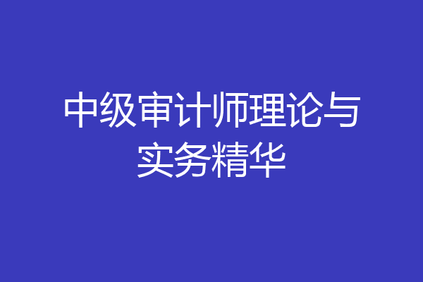 中级审计师理论与实务精华