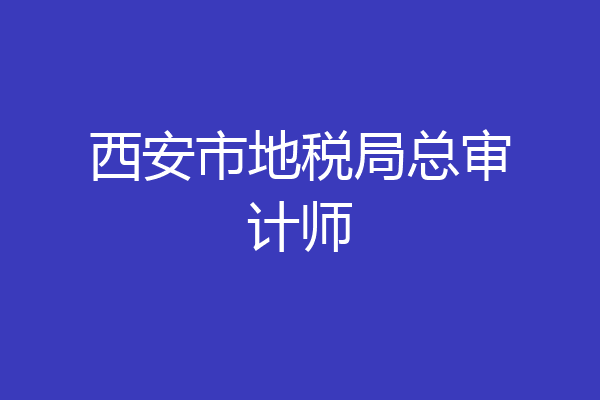 西安市地税局总审计师