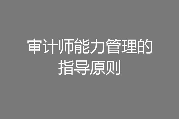 审计师能力管理的指导原则