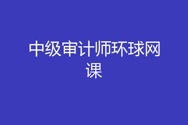 中级审计师环球网课