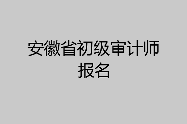 安徽省初级审计师报名