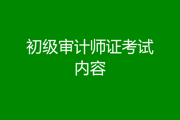 初级审计师证考试内容