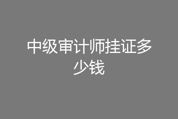 中级审计师挂证多少钱