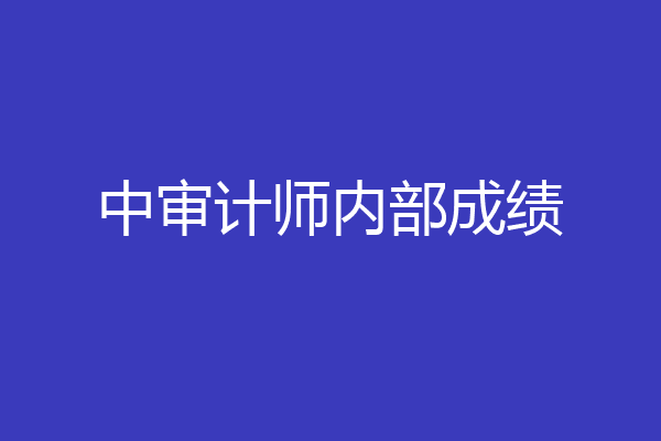 中审计师内部成绩