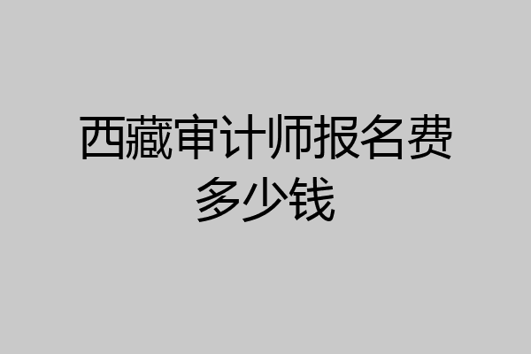 西藏审计师报名费多少钱
