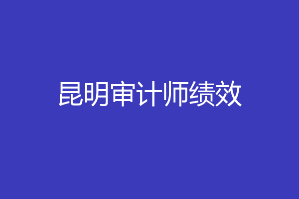 昆明审计师绩效