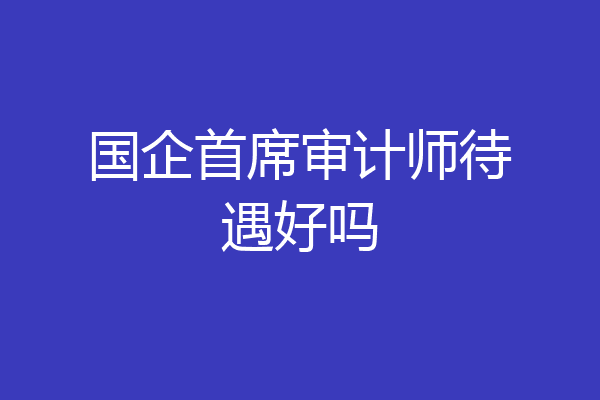 国企首席审计师待遇好吗