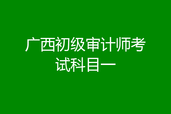 广西初级审计师考试科目一