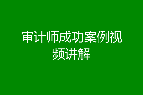 审计师成功案例视频讲解
