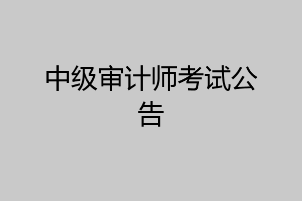 中级审计师考试公告
