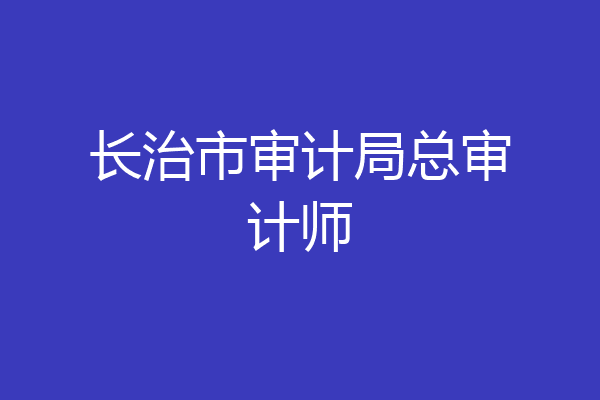 长治市审计局总审计师